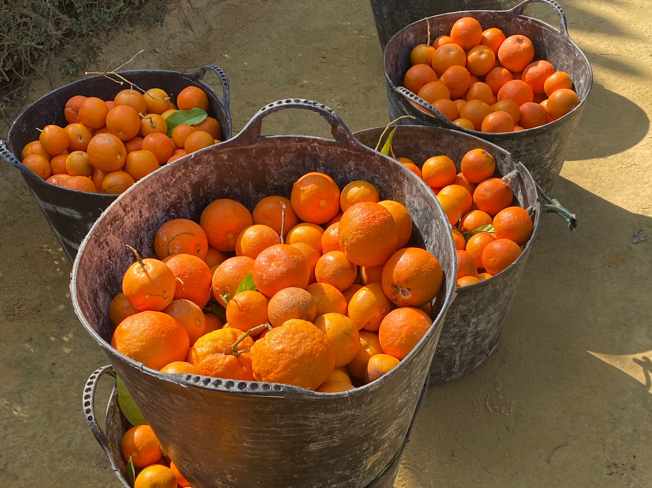 Co zobaczyć w Andaluzji?